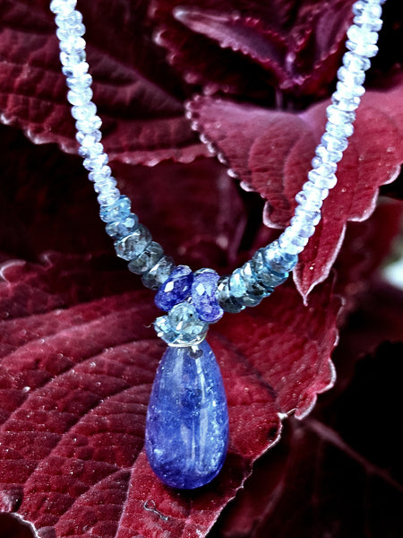 One of a Kind Tanzanite & Indigo Kyanite Necklace