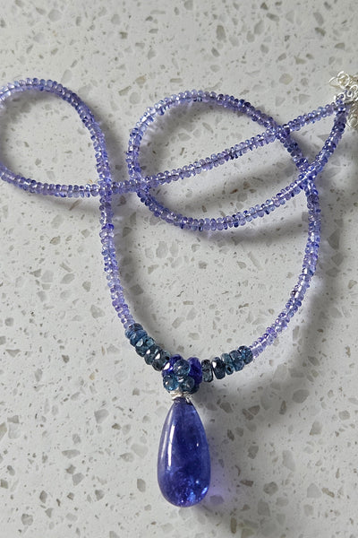 One of a Kind Tanzanite & Indigo Kyanite Necklace