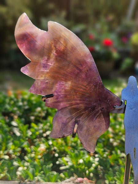 Smoky Amethyst Angel Wings With Stand.