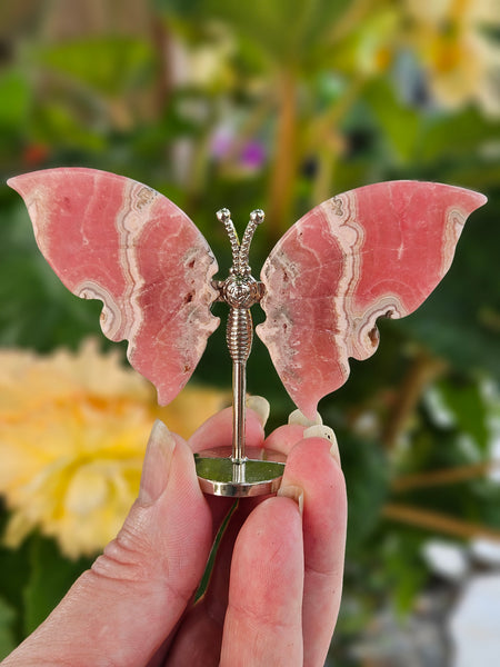 Rhodochrosite Butterfly Wings w/Stand