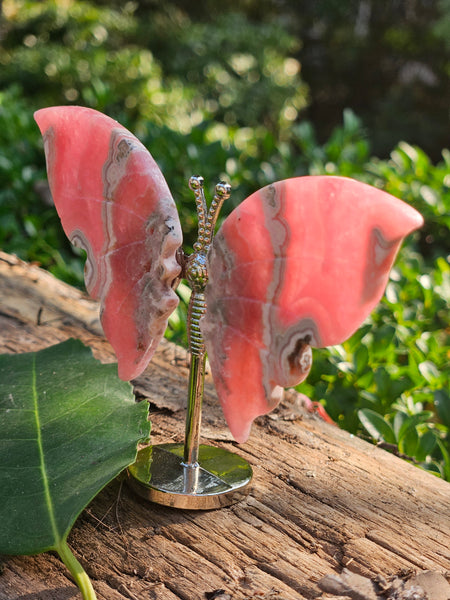 Rhodochrosite Butterfly Wings w/Stand