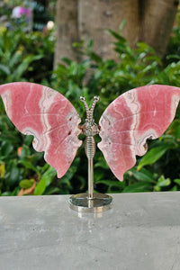 Rhodochrosite Butterfly Wings w/Stand