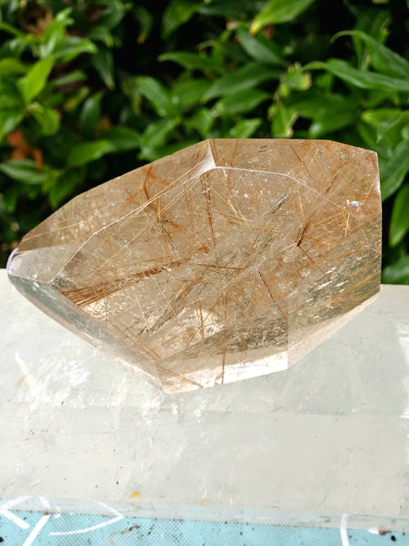 Rutilated Quartz Free Form