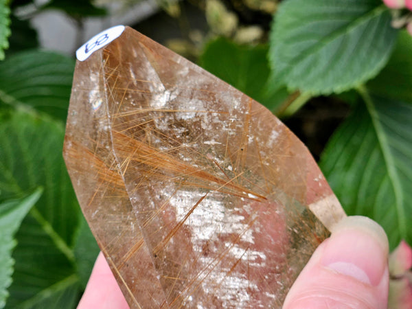 Rutilated Quartz Free Form