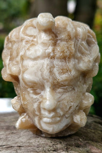 Chocolate Calcite Medusa