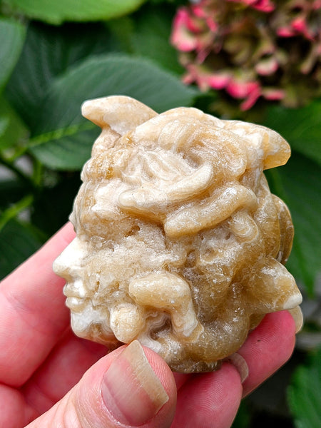 Chocolate Calcite Medusa