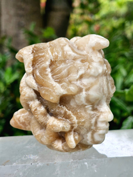 Chocolate Calcite Medusa