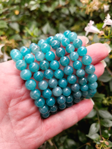 Amazonite Stretchy Bracelet