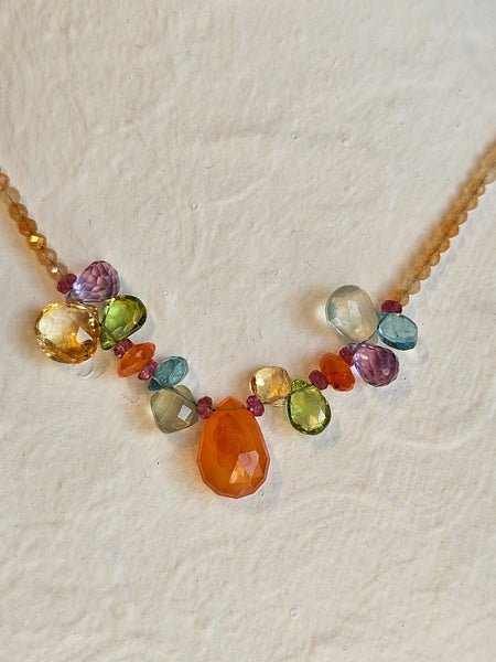 Carnelian & Multi Color Brio Necklace  NWH1326