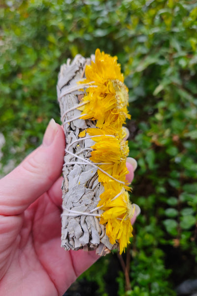 White Sage & Golden Flower Bundle / Smudge Stick