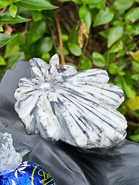 Chrysanthemum Stone Bowl