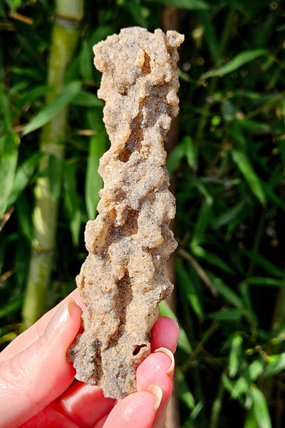 Fulgurite  (Petrified Lightening)