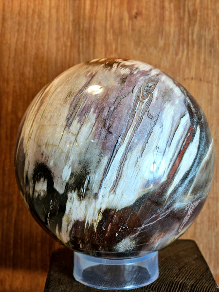 Petrified Wood Sphere