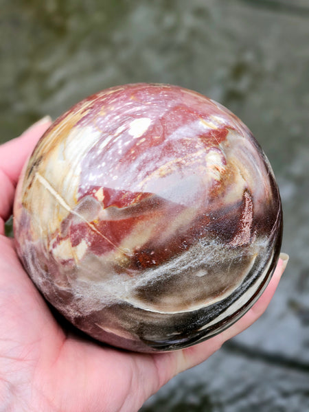 Petrified Wood Sphere
