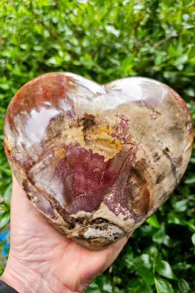 Petrified Wood Heart