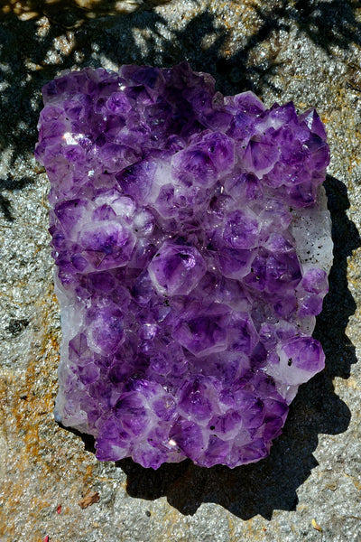 Brazilian Amethyst Cluster