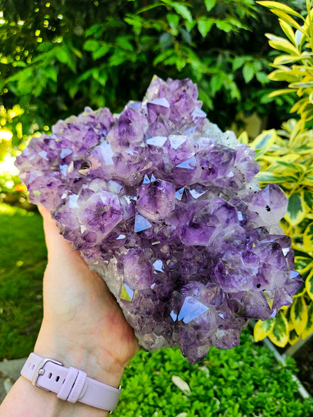 Brazilian Amethyst Cluster
