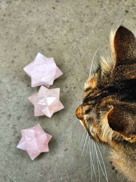 Rose Quartz Sacred Geometry Star