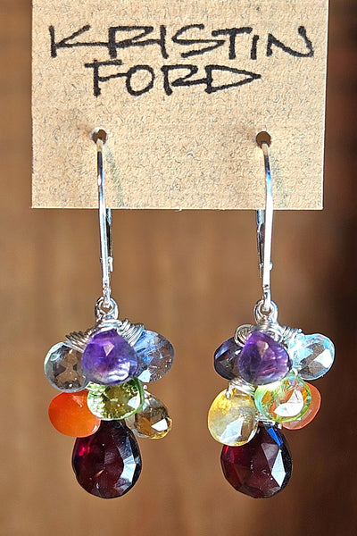 Rainbow Gemstone Earrings  EWH3417