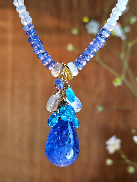 GF) One of a Kind Tanzanite, Neon Apatite & Rainbow Moonstone Necklace