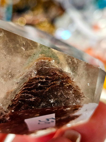 Garden Quartz / Shaman's Dream / Lodolite Free Form