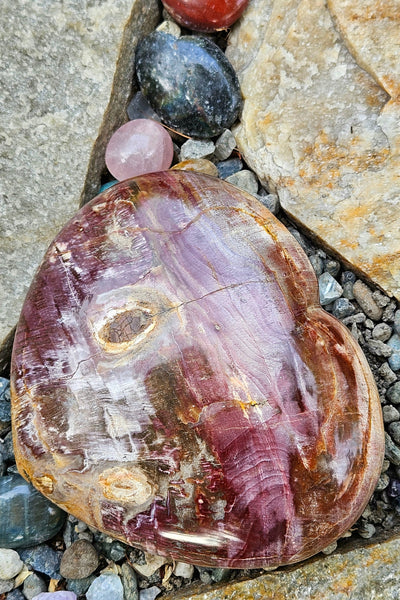 Petrified Wood Heart