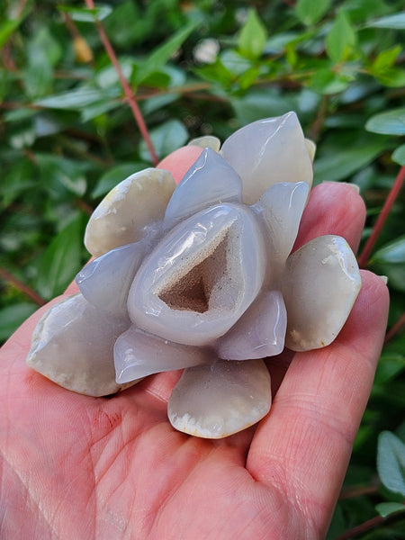 Druzy Agate Lotus Flower