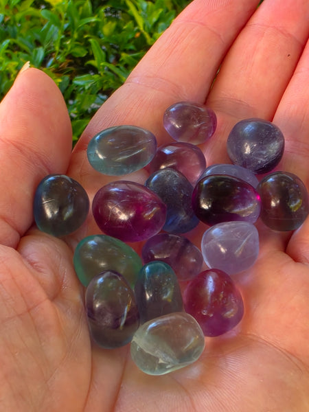 One Pound Bag of Rainbow Fluorite Pebbles