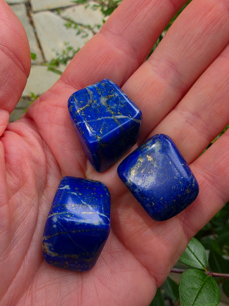 One Pound Mixed Tumbles