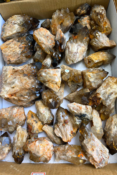 Kundalini Citrine / Smoky Quartz  FREE - LIMIT ONE PER CUSTOMER