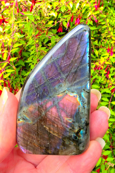 Labradorite Free Form — One of a Kind