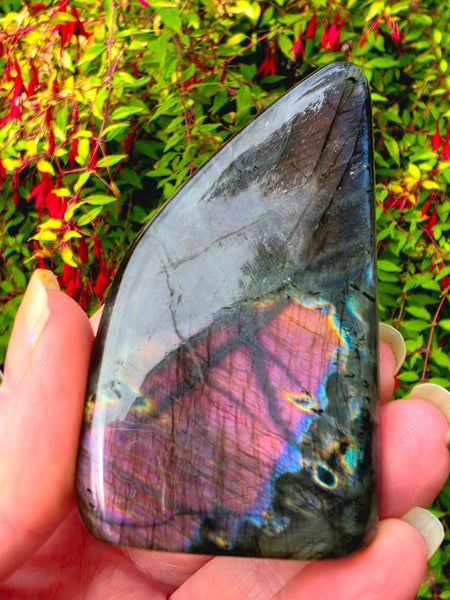 Labradorite Free Form — One of a Kind
