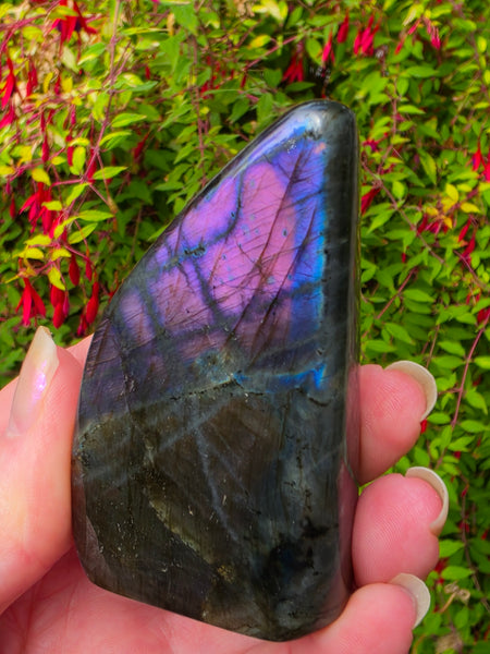 Labradorite Free Form — One of a Kind