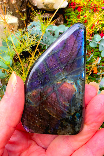 Labradorite Free Form — One of a Kind