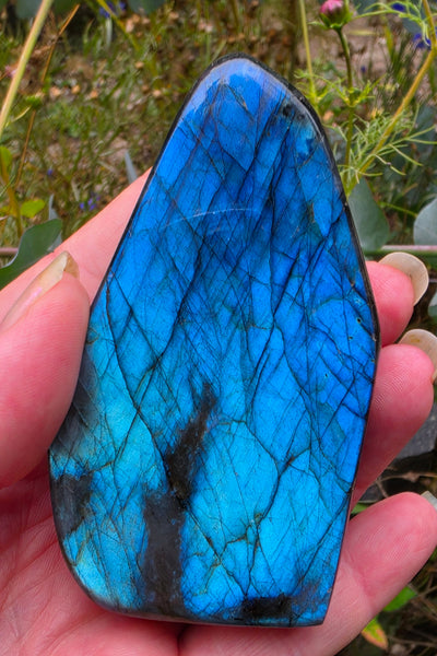 Labradorite Free Form - One of a Kind