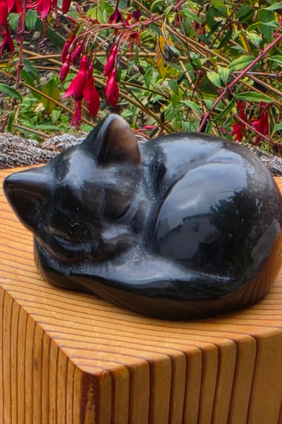 Silver Sheen Obsidian Sleeping Kitty