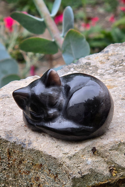 Silver Sheen Obsidian Sleeping Kitty