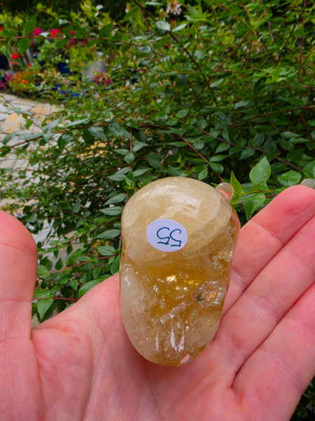 Rainbow Citrine Skull - One of a Kind