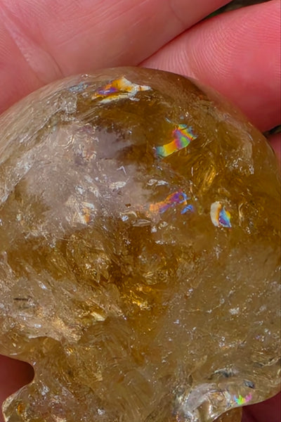 Rainbow Citrine Skull - One of a Kind