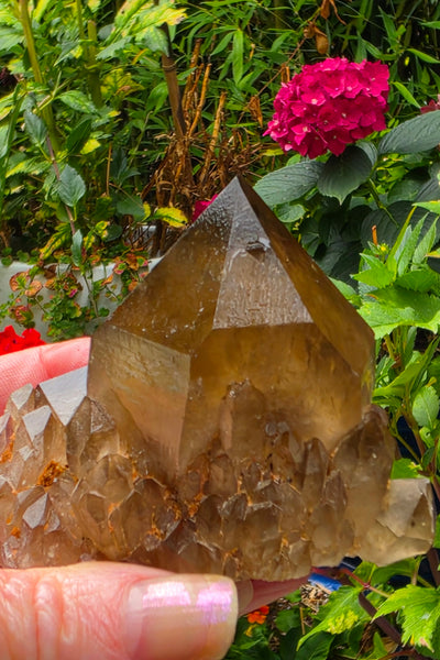 Kundalini Citrine / Smoky Quartz  FREE - LIMIT ONE PER CUSTOMER