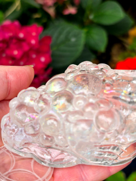 Rainbow Clear Quartz Money Toad — One of a Kind