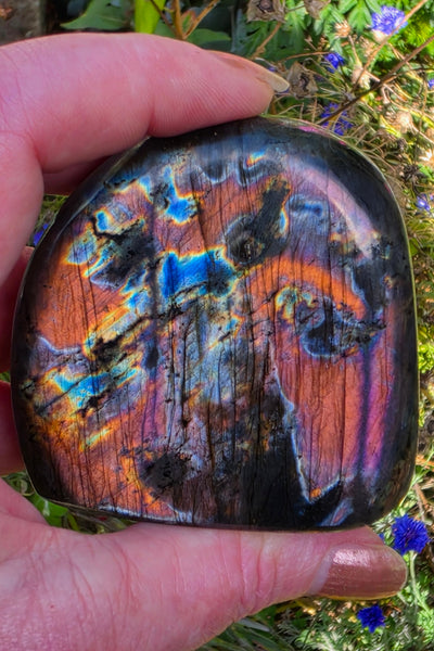 Labradorite Free Form - One of a Kind