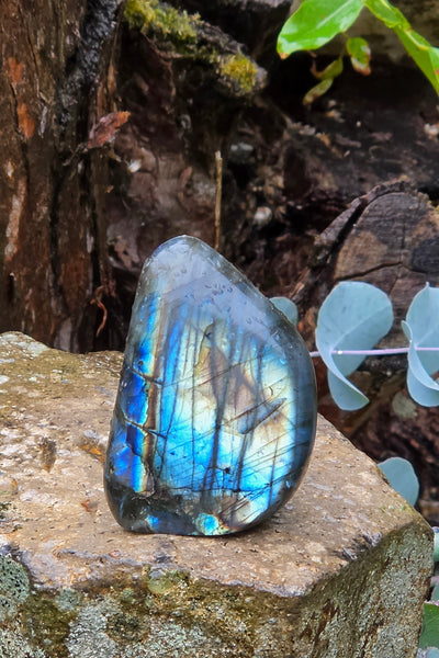 Labradorite Free Form - One of a Kind