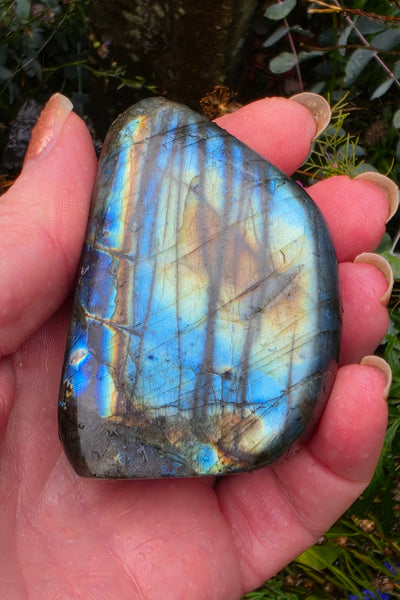 Labradorite Free Form - One of a Kind