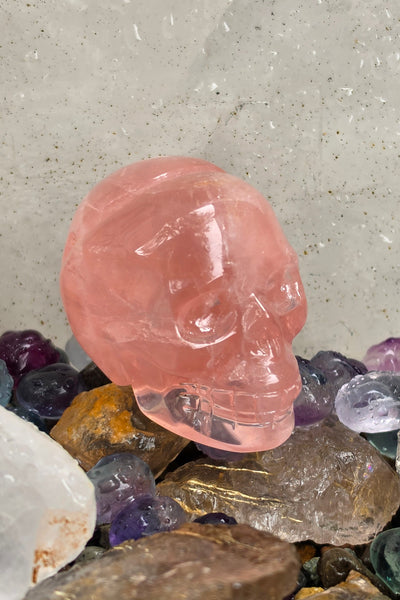 Star Rose Quartz Skull - One of a Kind