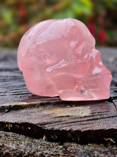 Star Rose Quartz Skull - One of a Kind