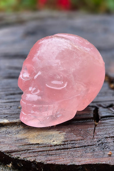 Star Rose Quartz Skull - One of a Kind
