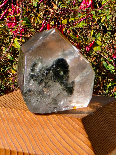 One of a Kind Garden Quartz / Shaman’s Dream / Lodolite Free Form