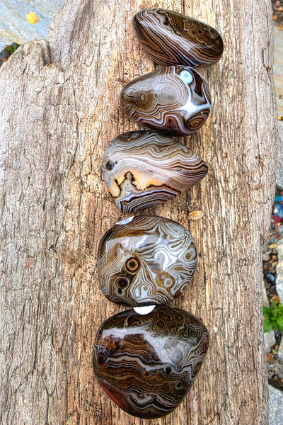 One of a Kind Sardonyx Palm Stone Meditation Set with Selenite Bowl