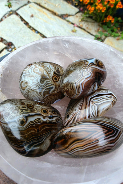One of a Kind Sardonyx Palm Stone Meditation Set with Selenite Bowl